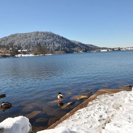 Chaleureux Avec Garage & Balcon Au Coeur De Gerardmer, Proche & Pistes - Fr-1-589-338