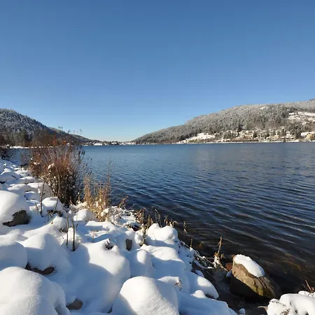 Chaleureux Avec Garage & Balcon Au Coeur De Gerardmer, Proche & Pistes - Fr-1-589-338 Apartmán