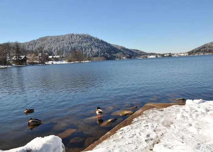 Chaleureux Avec Garage & Balcon Au Coeur De Gerardmer, Proche & Pistes - Fr-1-589-338